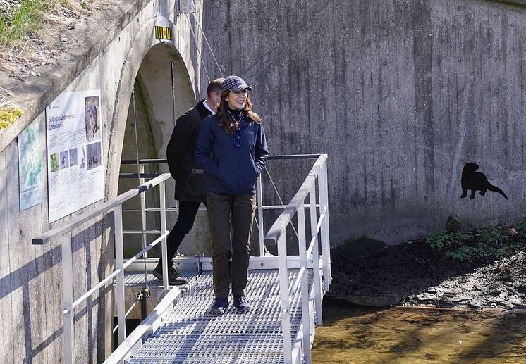 H.M. Dronning Mary har lige passeret Skillngbro Undervejsbro sammen med Minister Jeppe Bruus_Foto, Naturstyrelsen, 2025.jpg