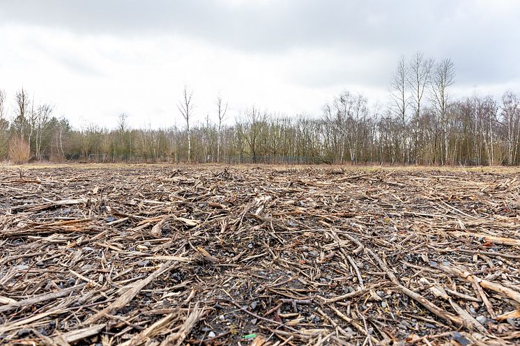 HeimatERBE Kompensationsfläche Kurl 3 in Lünen_©Florian Kochinke