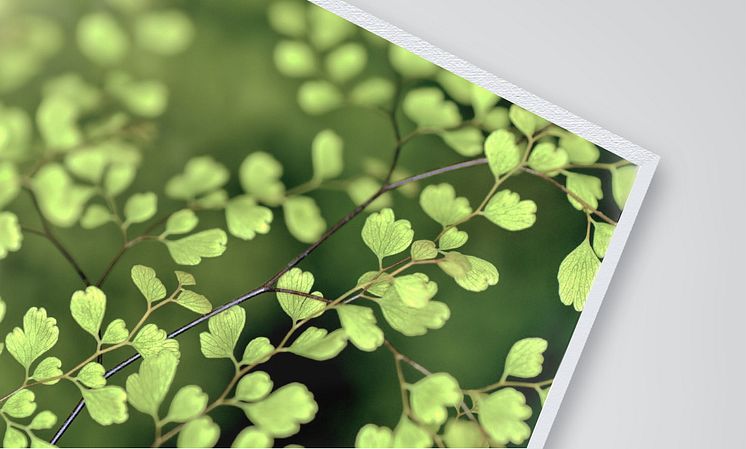 Ecoprint Skummad PP