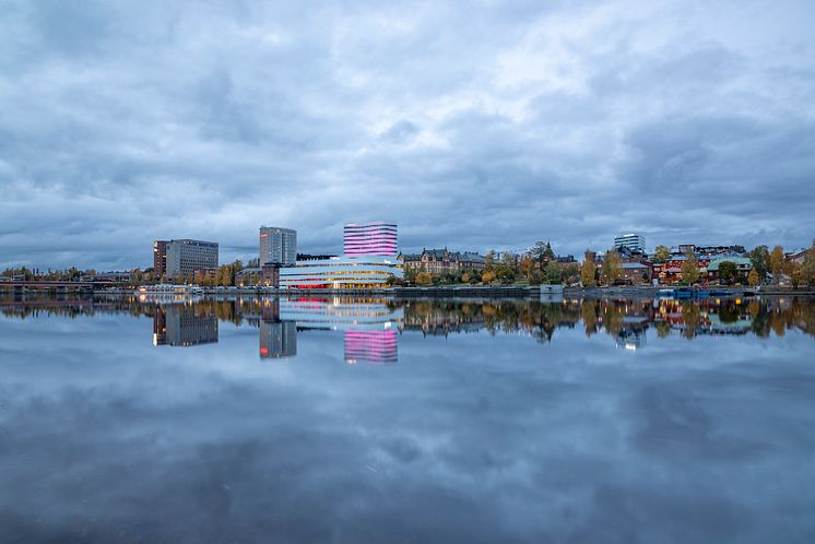 umea-host-stad-2022-1005.jpg