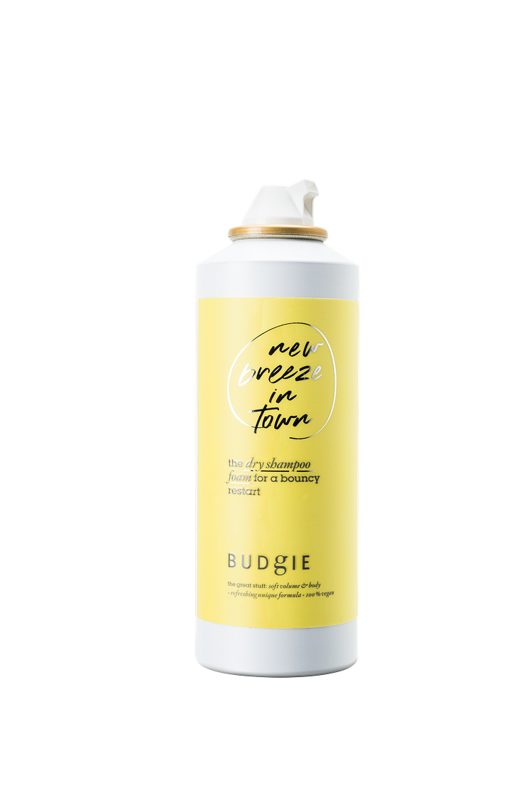 dry shampoo foam copy (bättre läsbarhet)