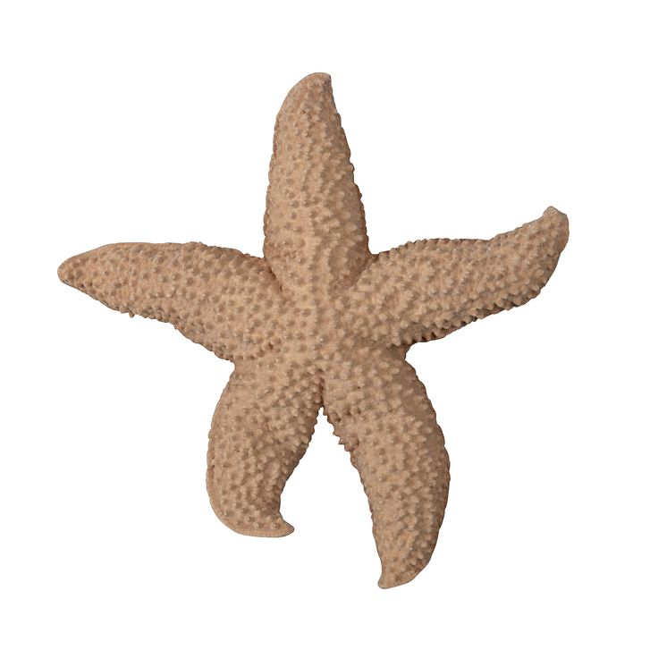 609-069be SEA STAR MANDY