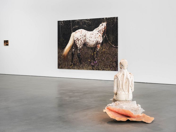 Sara-Vide Ericson och Tilda Lovell, installationsvy Bonniers Konsthall, 2023