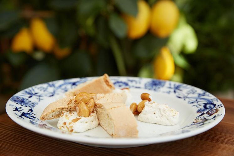 Biscotti/Torrone