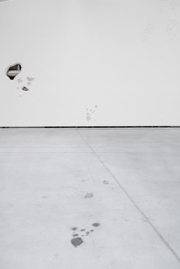 Sissel Tolaas RE________