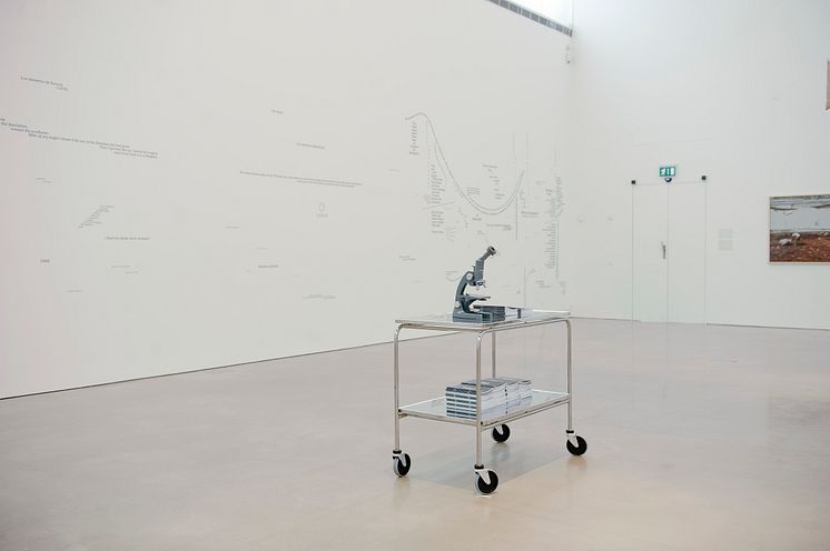 The Spiral and the Square, Natascha Sadr Haghighian, The Microscope, 2006 