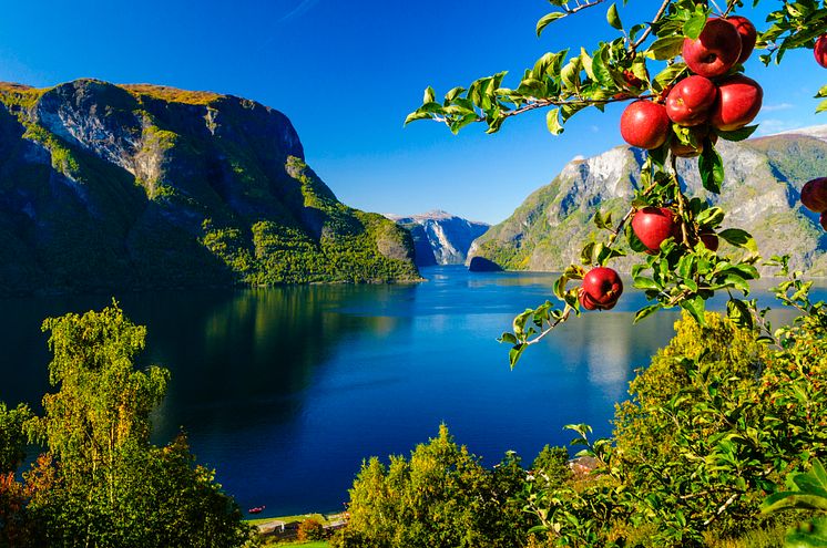 1131 Aurlandsfjorden-host-Robin-Strand-Norphoto-AS.jpg