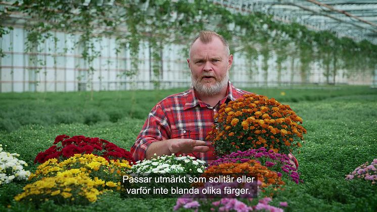 Trädgårdsmästaren tipsar bollkryss 16x9.mp4