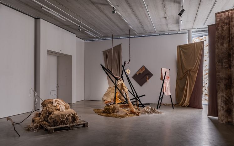Åsa Cederqvist, The Cabinet, 2010,, rumslig installation, 2025