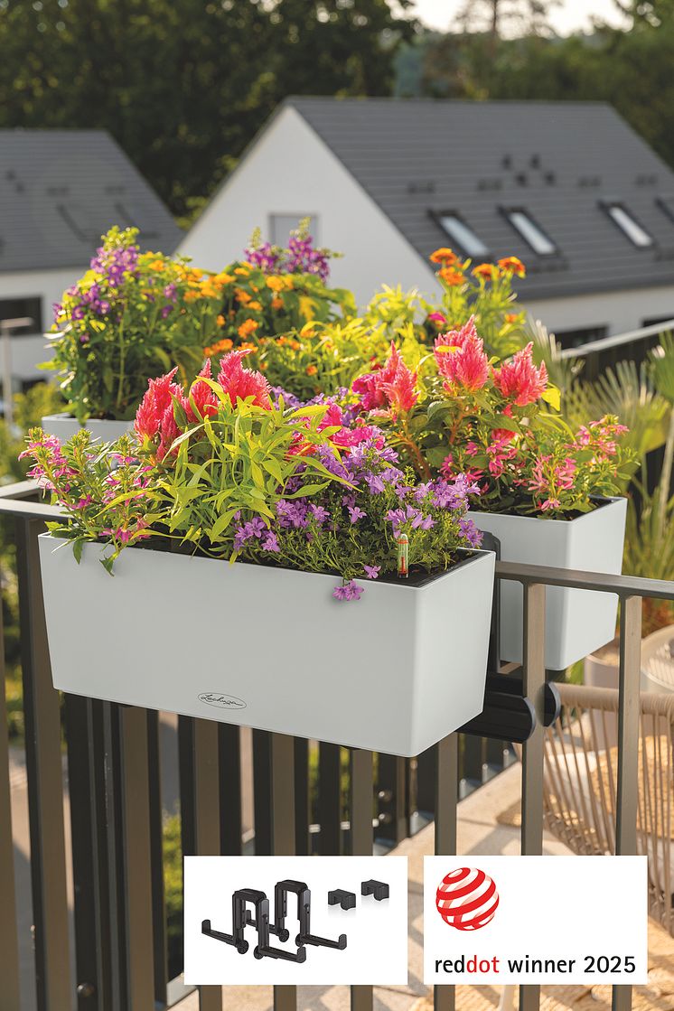 Doppelte Blumenpracht dank "Duo"