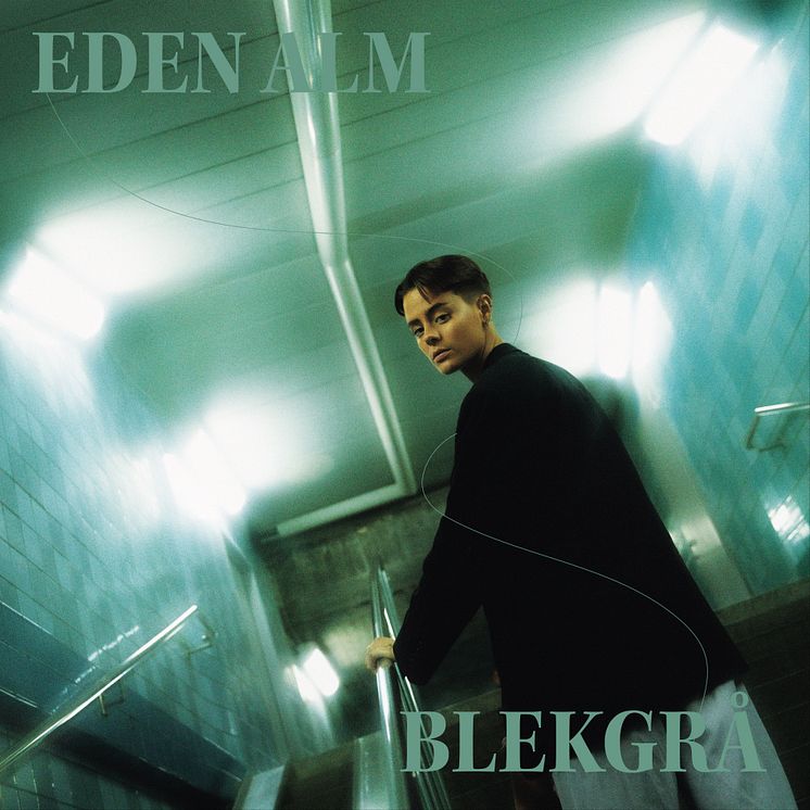 Eden Alm_artwork_Blekgrå