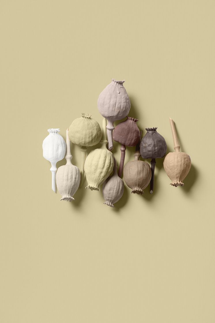 Flexa-Kleurentrends-Kleur-van-het-Jaar-2023-Raw-kleurenpalet-zaadbollen