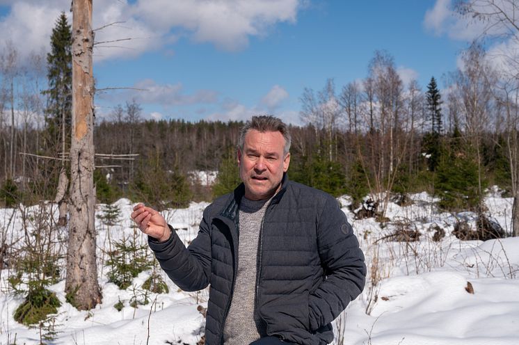 Timo-Lehesvirta-Metsä-Wood-7118.jpg