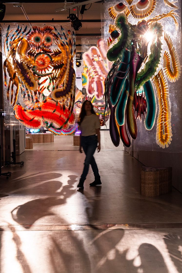 Utstillingsbilde / Exhibition photo