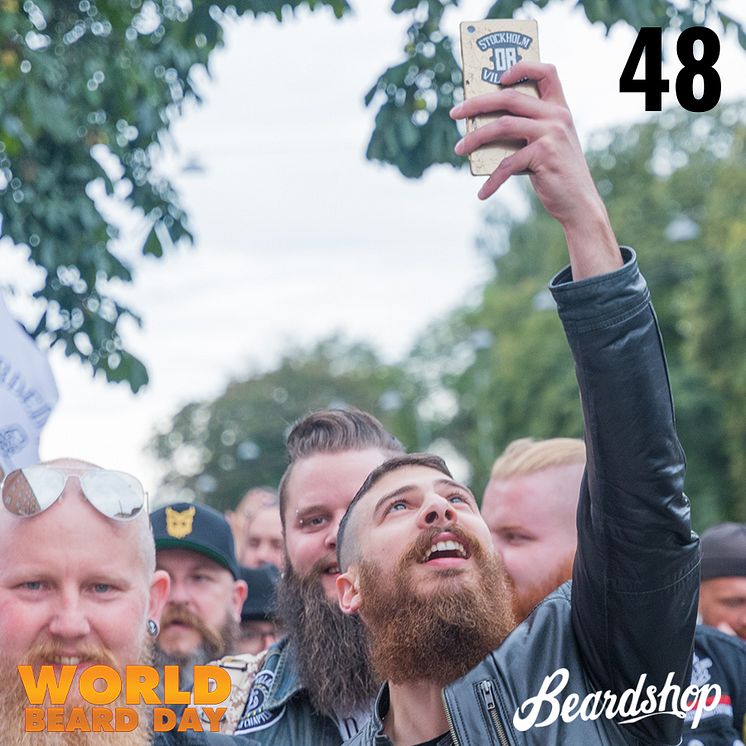 48 nedräkning.jpg