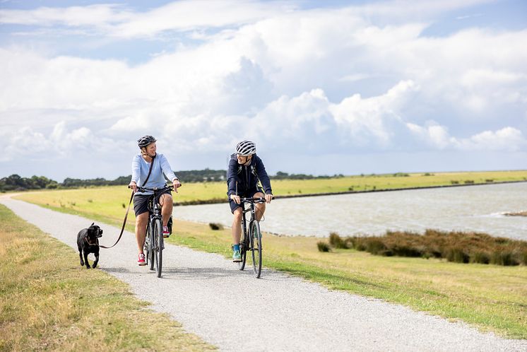 Radfahren auf dem Deich