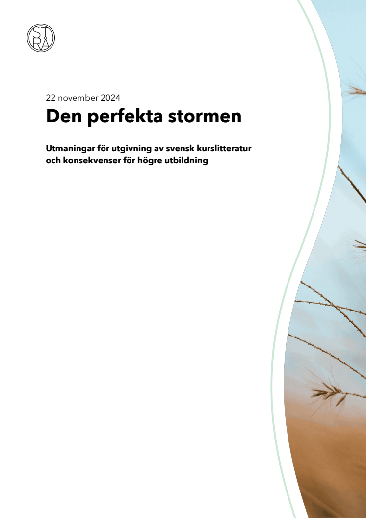 Rapport - Den perfekta stormen 241122.pdf