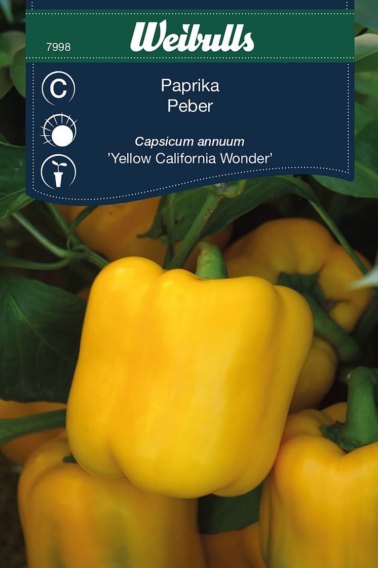 7998_paprika_yellow_california_wonder.jpg