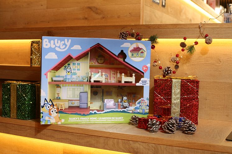 Bluey Family Home Playset (2)