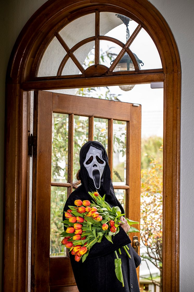 Tulpaner till Halloween