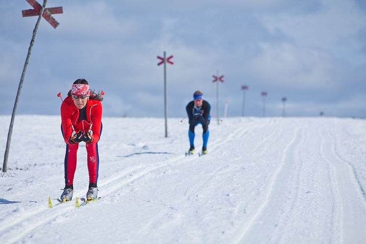 Storhogna-aktiviteter-längdskidåkning-vinter-vemdalen.jpeg