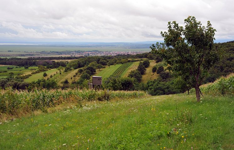 Edelgraben