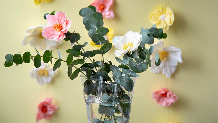 Mars-25-blomma-Amaryllis-vas-Tulip_6 kopiera.jpg