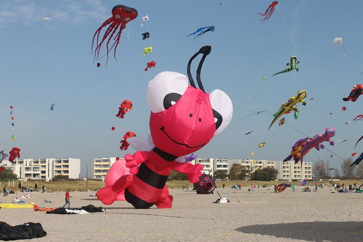 Drachenfest auf Fehmarn 