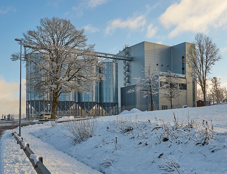 Berte Qvarn Vinter 1