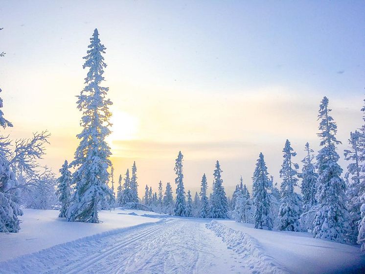 Storhogna-vinterlandskap-skidspår.jpg