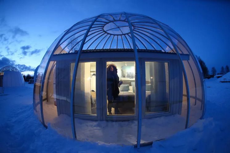 iceandlightvillage.jpg.webp