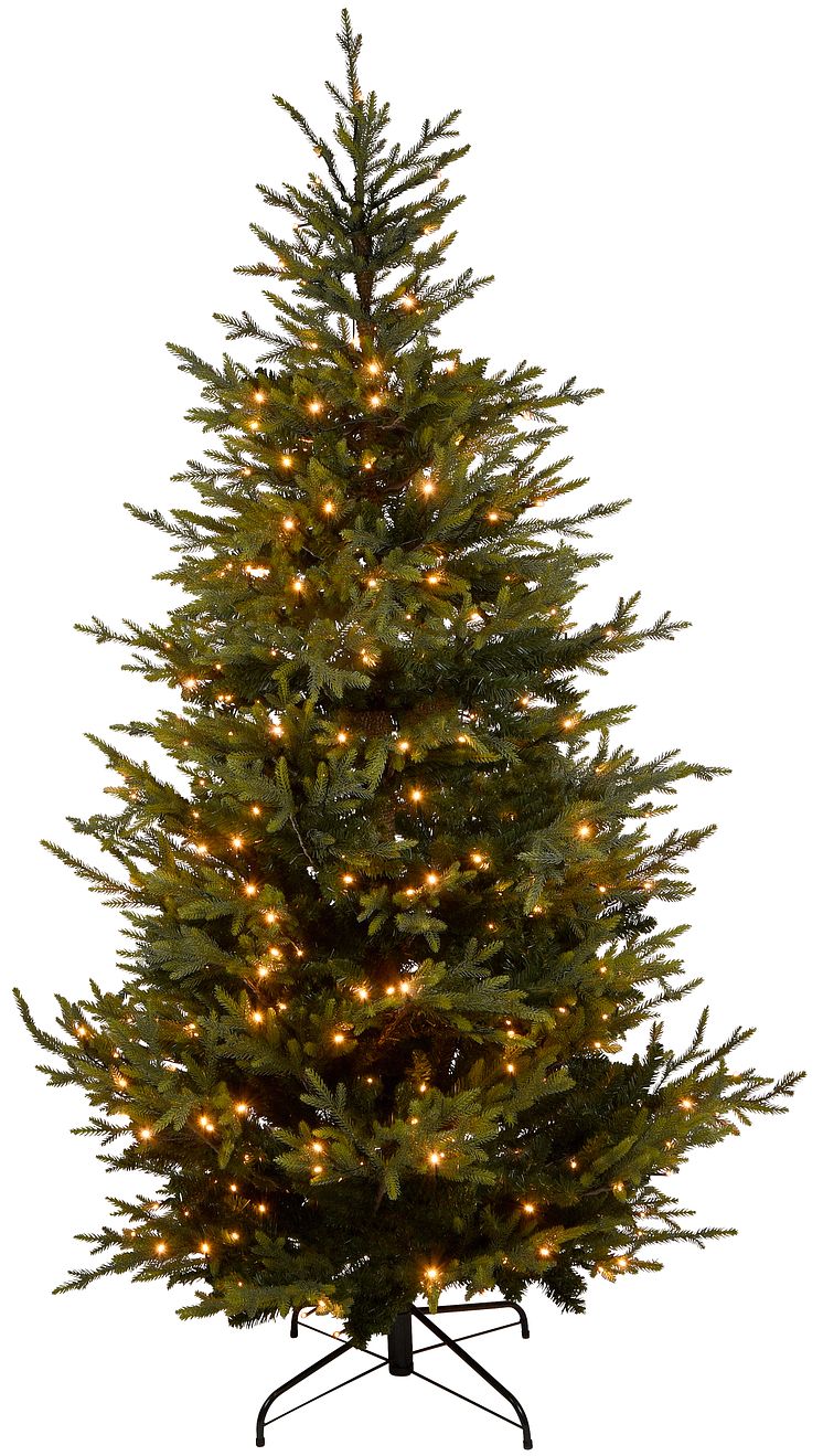 ÖoB_jul2021_Skandinavisk rödgran produktbild_1.jpg