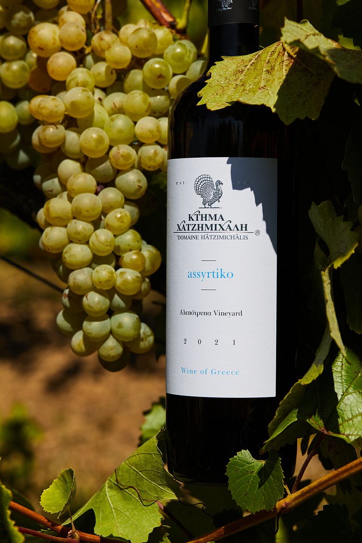 Assyrtiko Alepotrypa 2023 TSE
