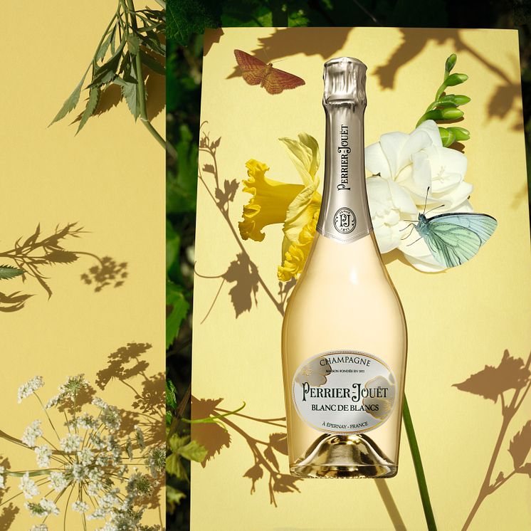 PJ Blanc de Blancs KV.jpg