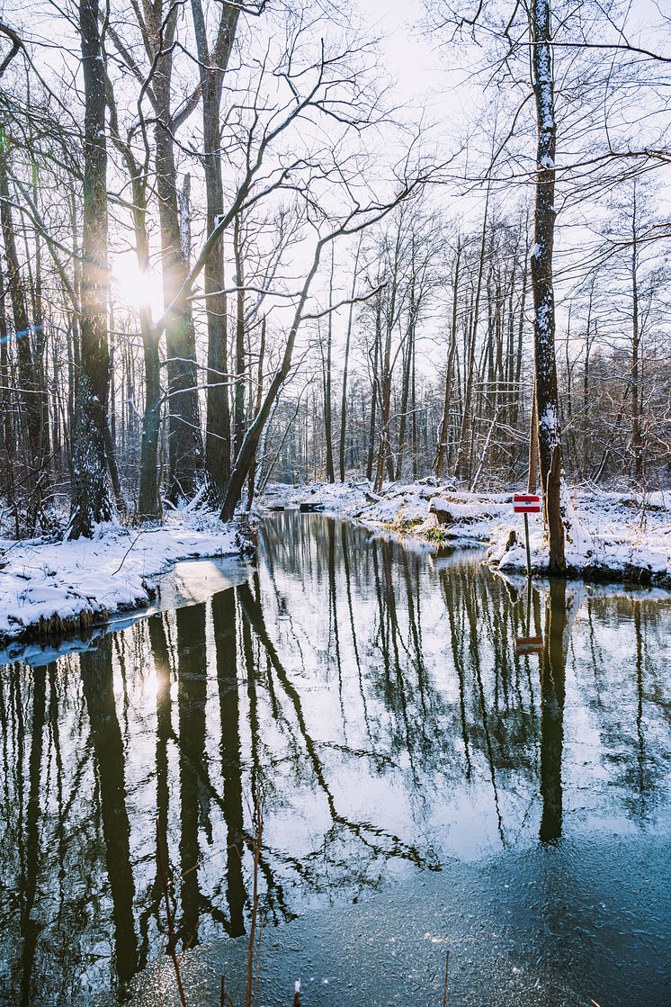 Fliess-im-winterlichen-Spreewald_Steffen-Lehmann_TMB-Tourismus-Marketing-Brandenburg-GmbH.jpeg