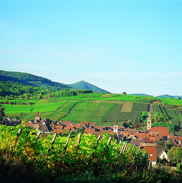 Hugel Alsace