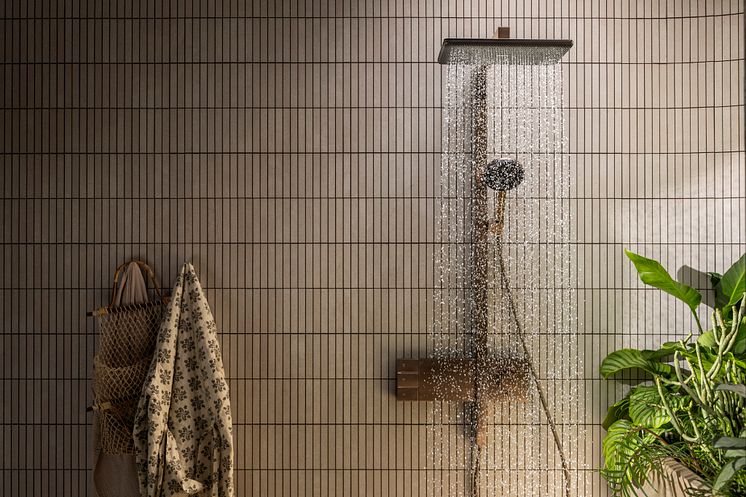 hansgrohe Raindance Alive