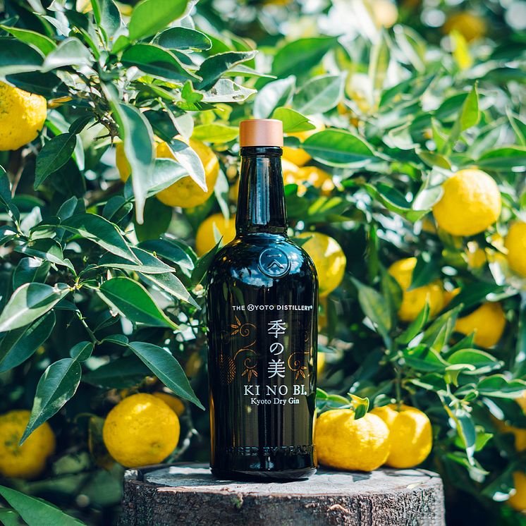 Ki No Bi Kyoto Dry Gin - Moodshot.jpg