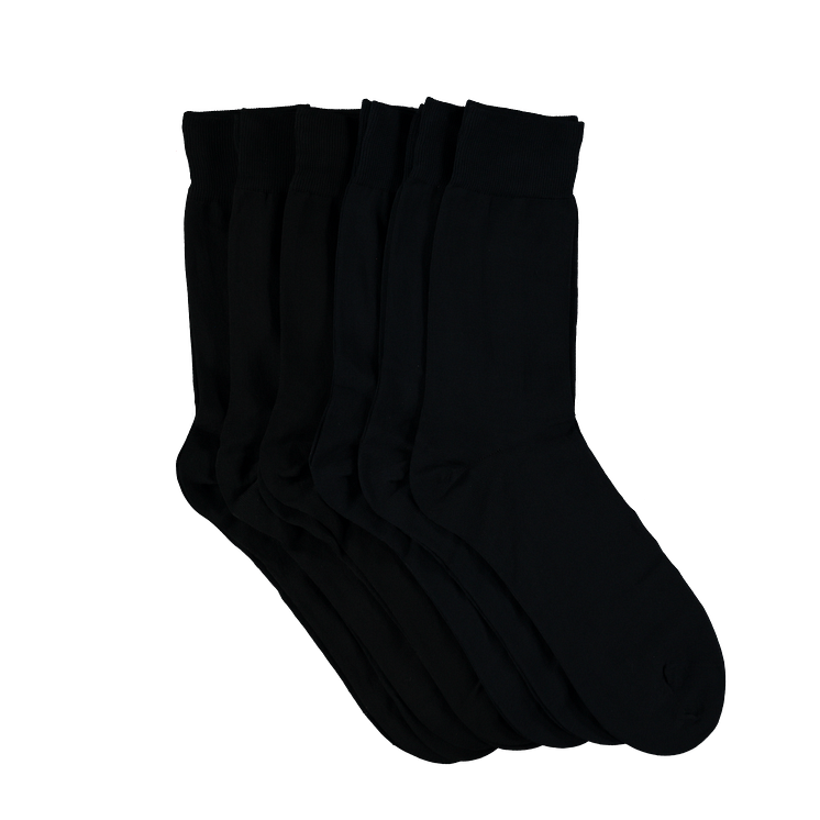 3196-115S22 plant.png