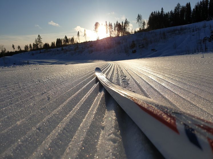 Veldig gode skiforhold