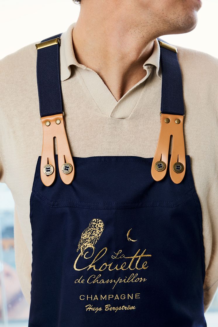 chouette1.jpg