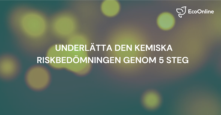 Underlätta den kemiska riskbedömningen genom fem steg