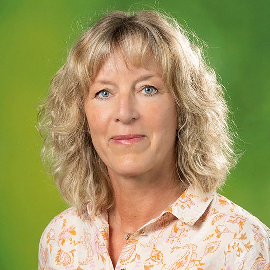 Cecilia Bjorkengren