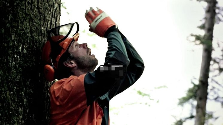 STIHL