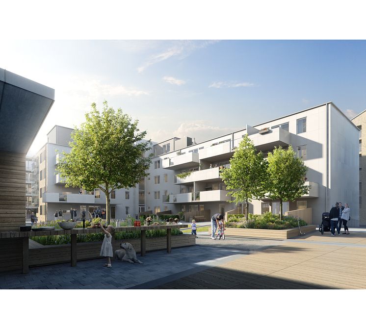 Brf Vildvinet, innergård