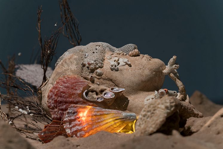 Tilda Lovell, Sandlands (del av installation), 2017-2018