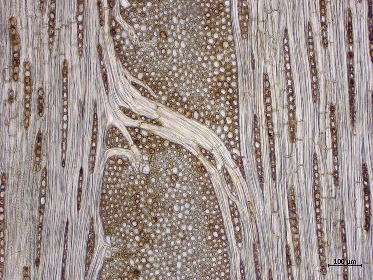Formafantasma_O_02_tangential_300dpi.jpg