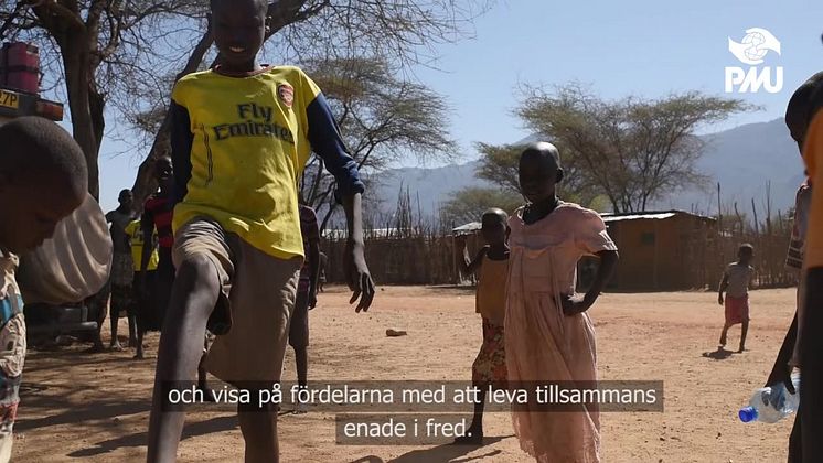 Fredsagent 1325 - utan kvinnan ingen fred