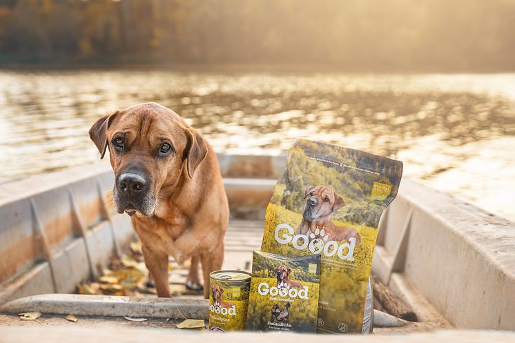 Goood_Adult_Freilandhuhn_Goood Dog Tyson_Boot_©Goood Petfood