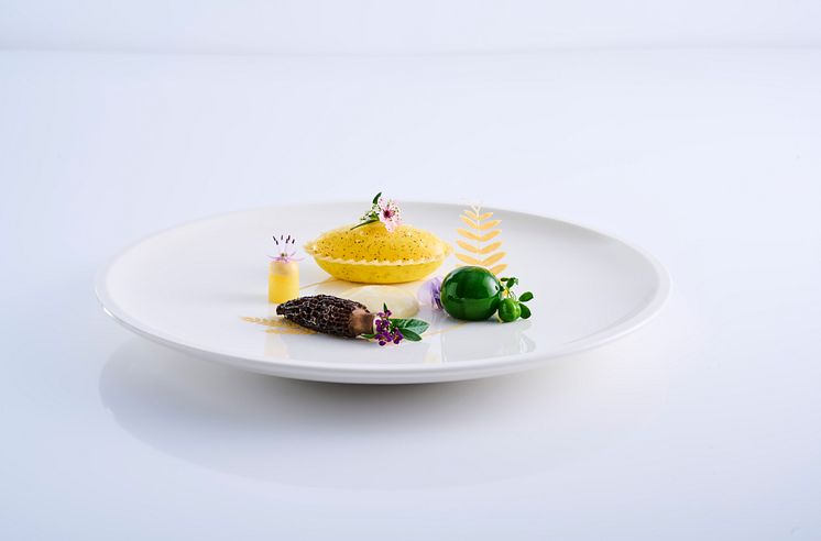 Dish 2022 - Sign of spring - foto Tom Haga